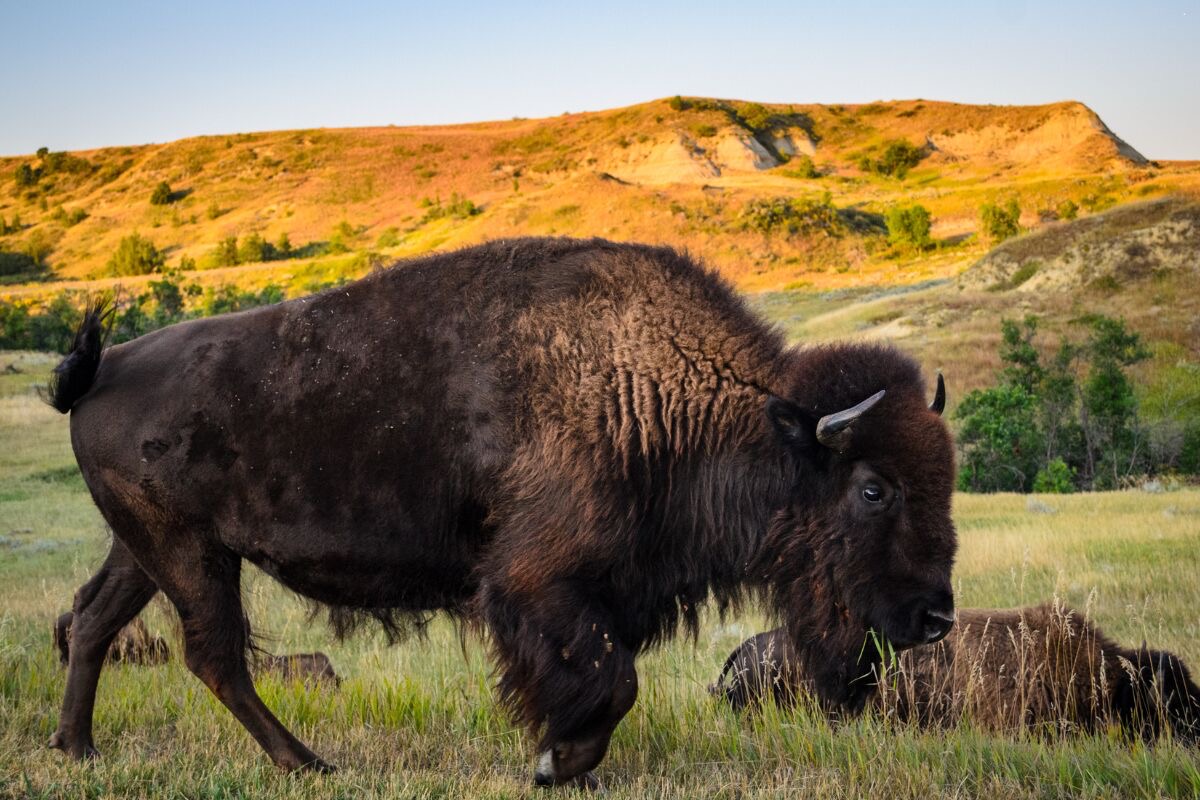 Cabin Retreats to City Breaks: Best Long Weekend Trips by State