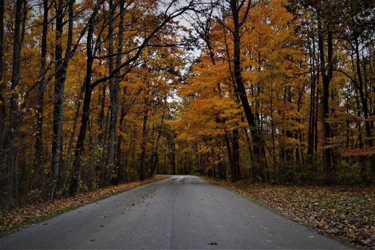 cabin retreats to city breaks best long weekend trips by state