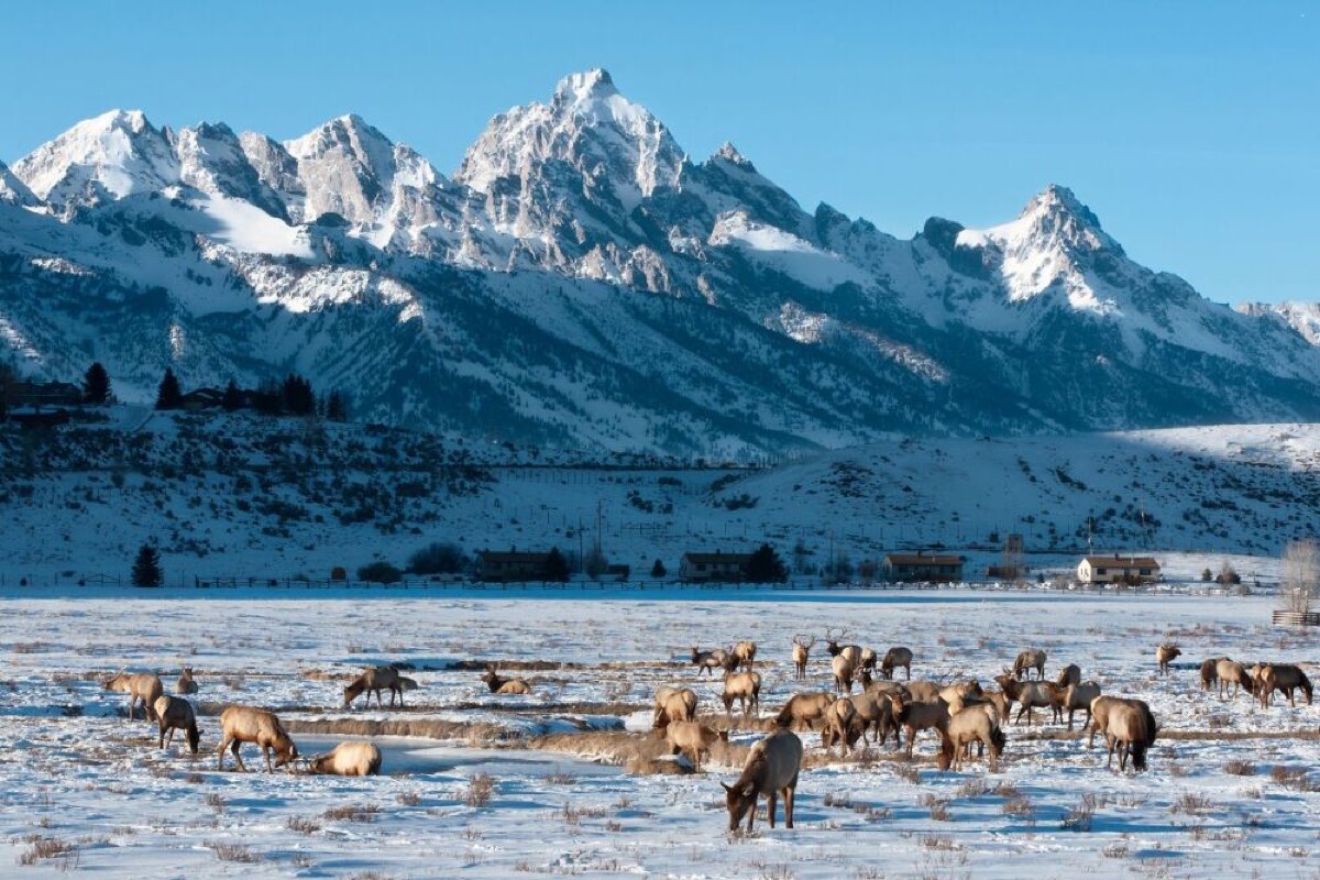 cabin retreats to city breaks best long weekend trips by state