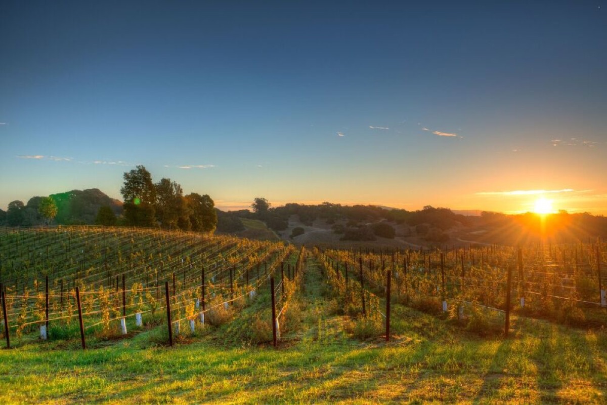 cabin retreats to city breaks best long weekend trips by state