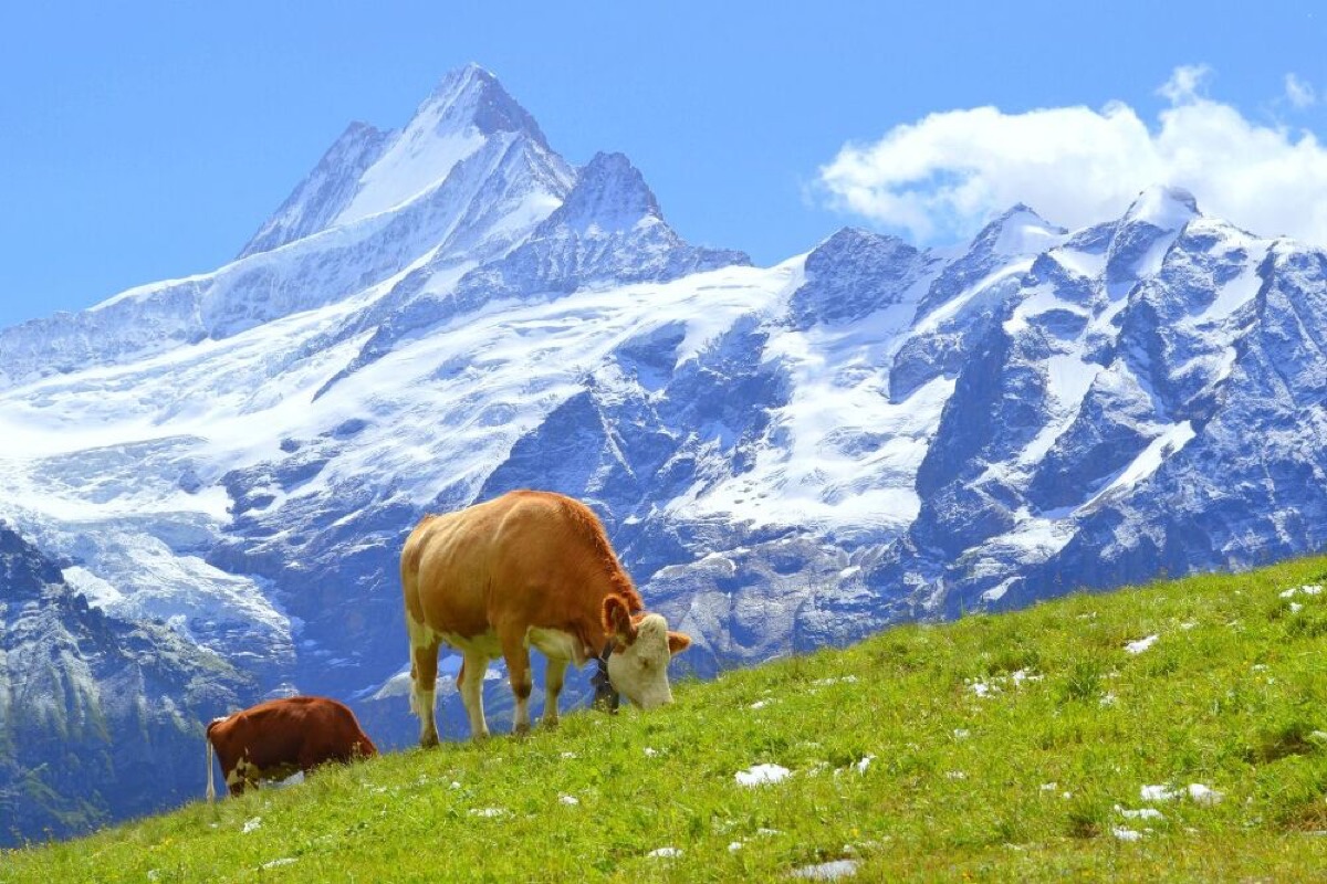 european summer which destinations to visit month by month