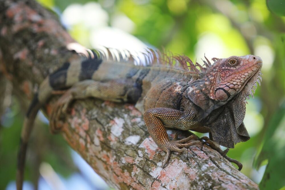 top 10 beautiful places to visit in costa rica in 2025