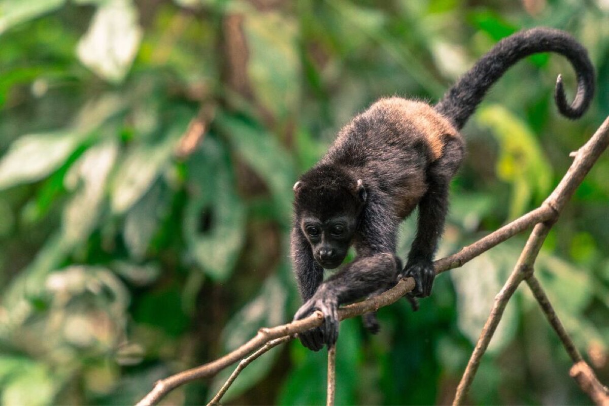 top 10 beautiful places to visit in costa rica in 2025