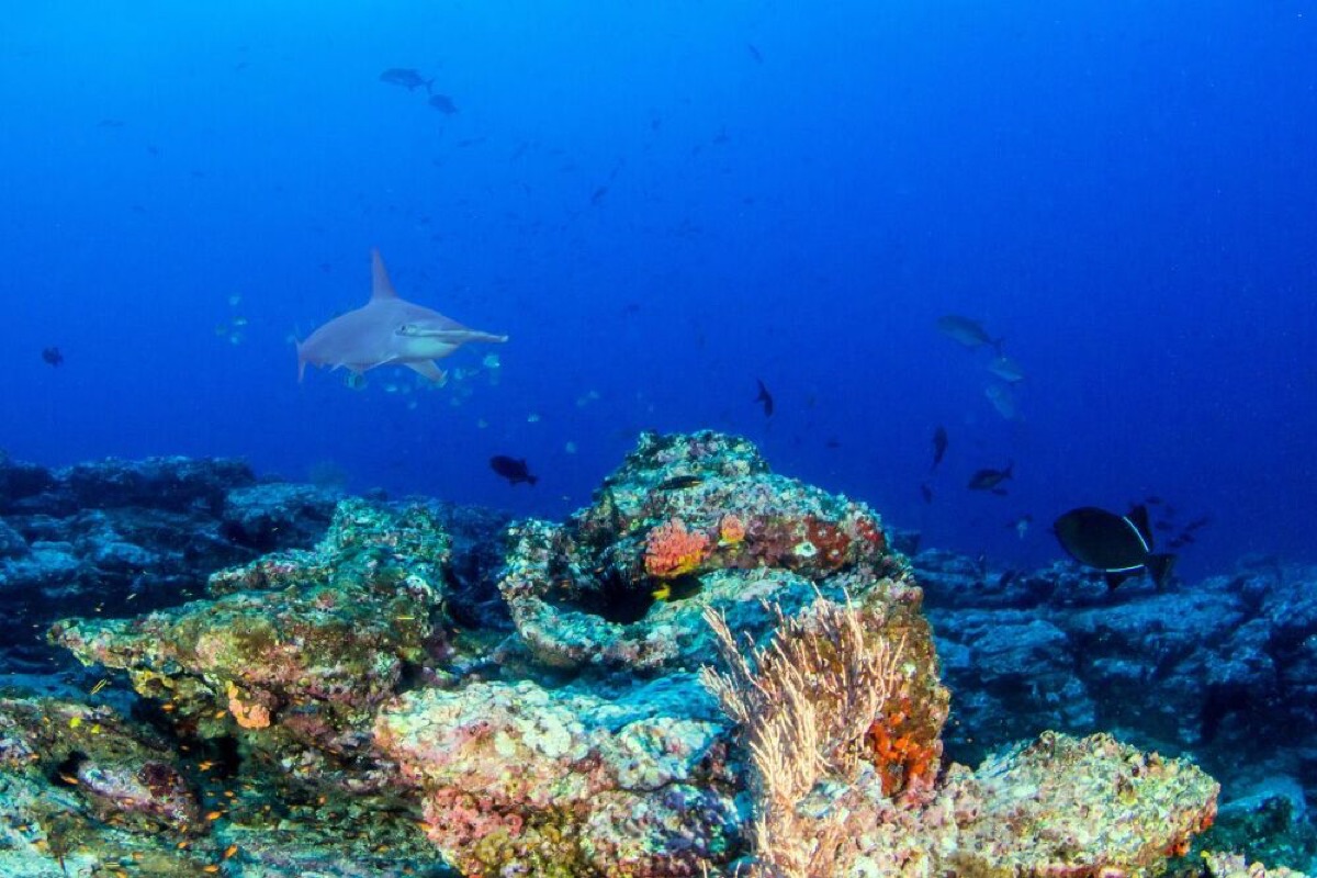 top 10 beautiful places to visit in costa rica in 2025