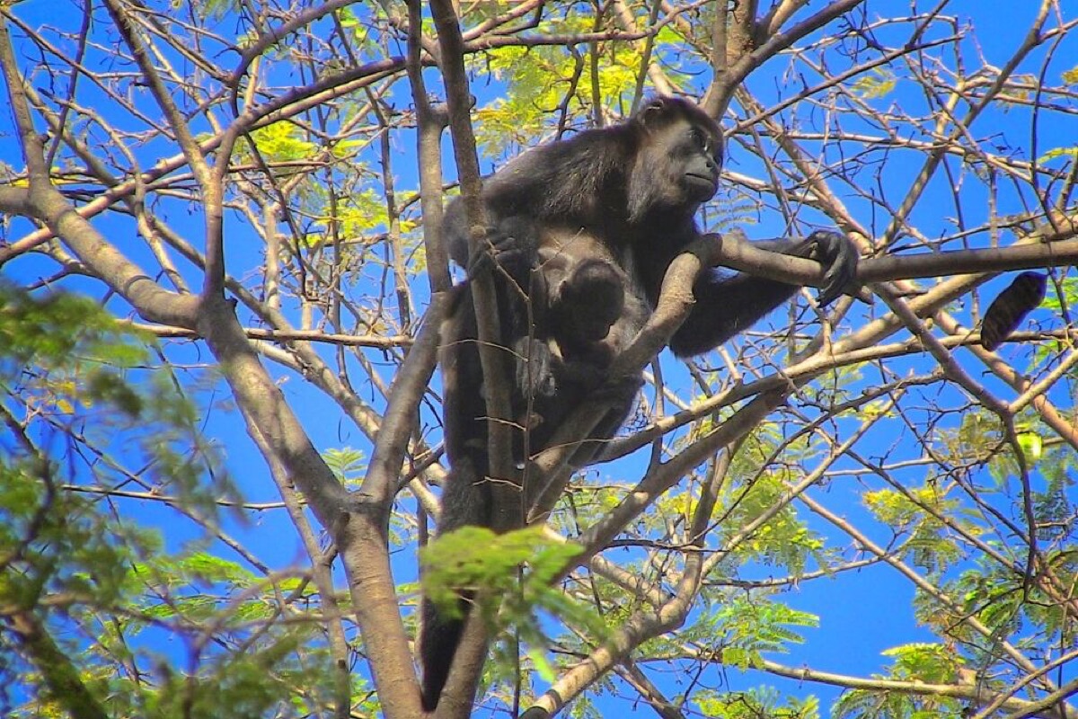 top 10 beautiful places to visit in costa rica in 2025