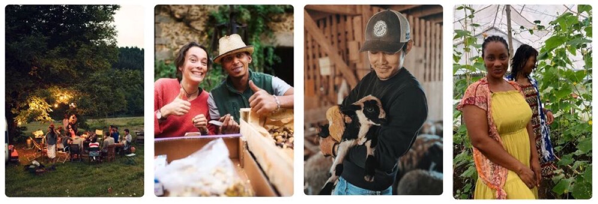 Image Credit: WWOOF